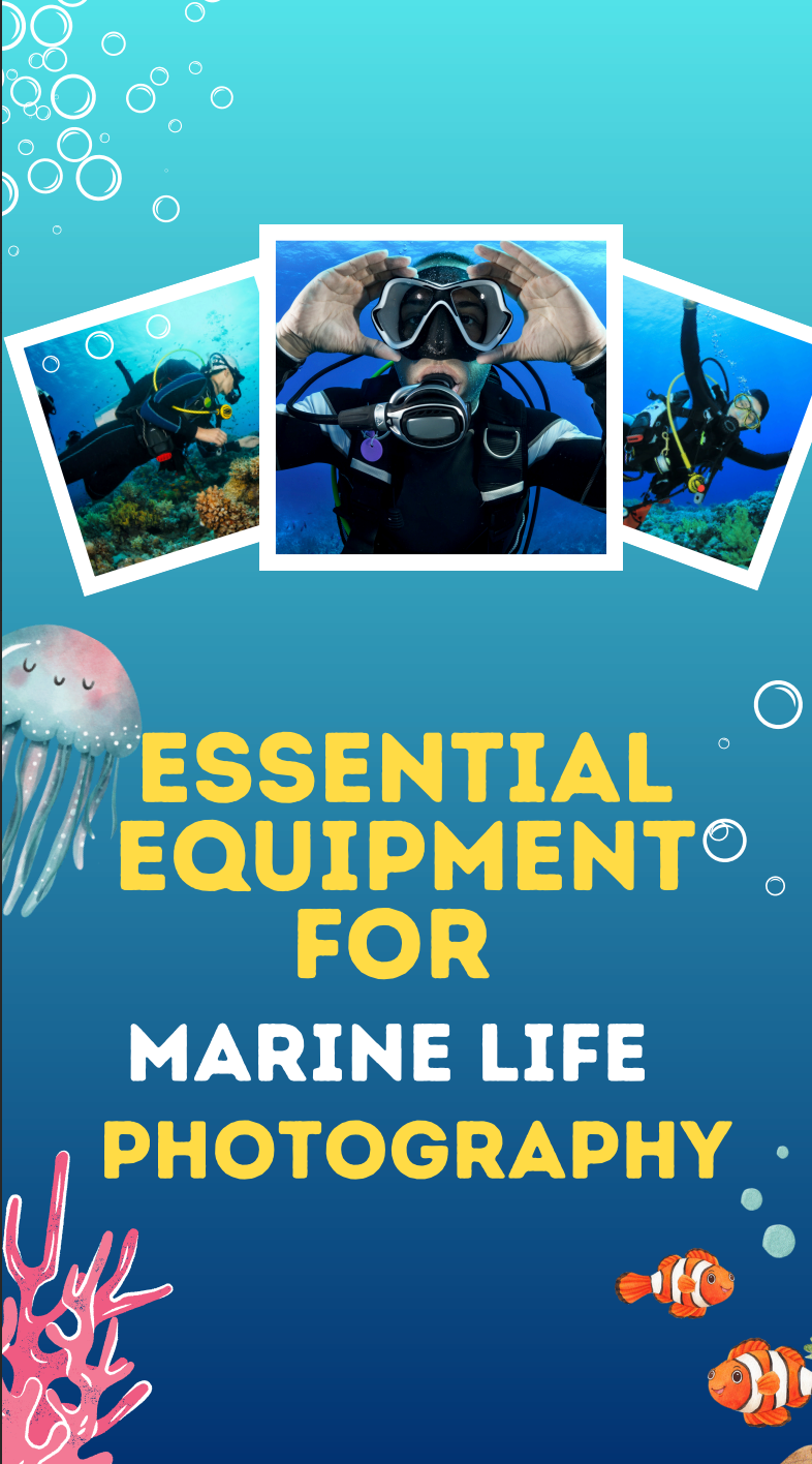 Essential Equipment for Marine Life Photography