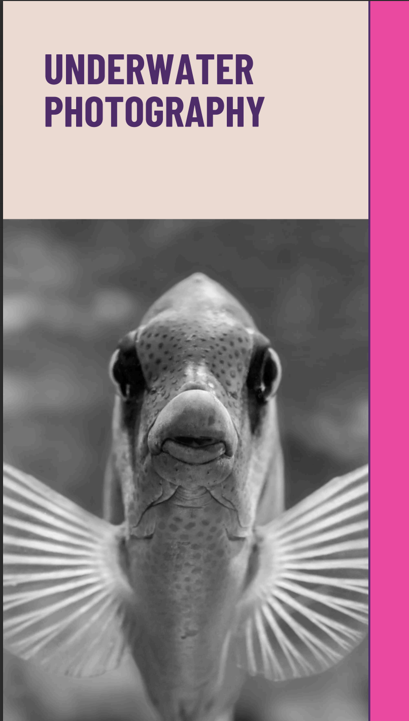 Underwater Photography