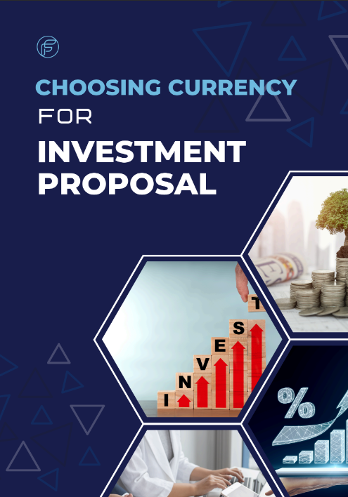 Choosing currency For Investment Proposal